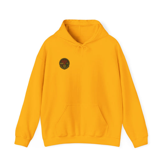 Iron City FC- Golden Pulse Hoodie